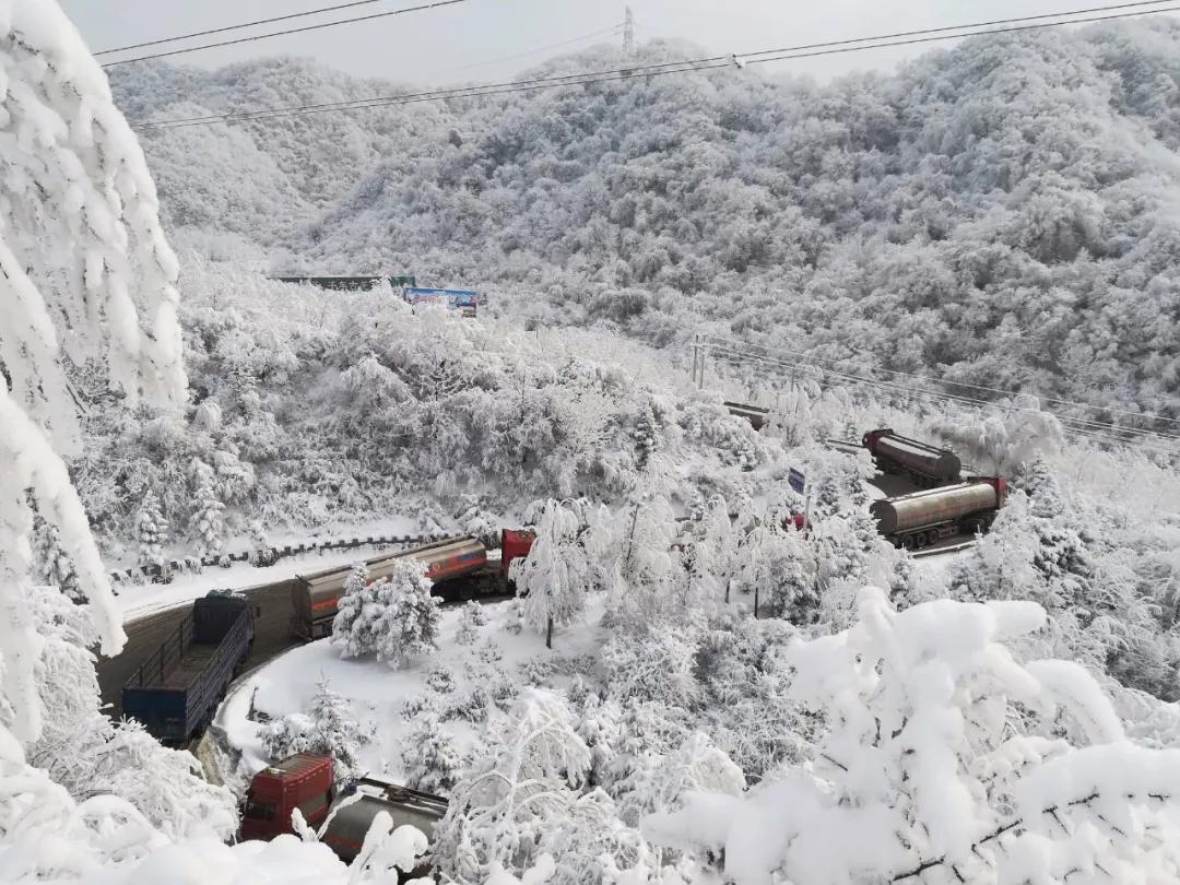 宝鸡这里雪景迷人,岭南公园成网红打卡胜地!