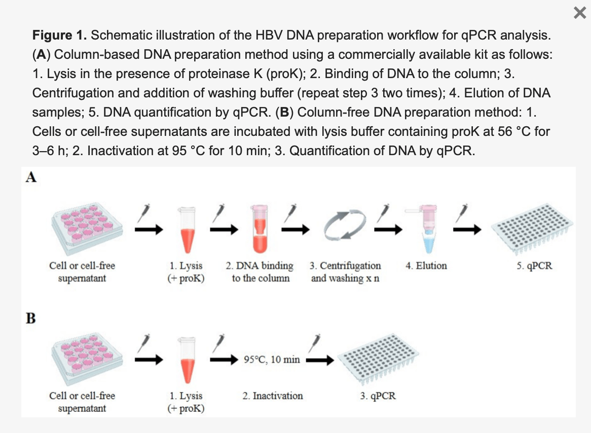 乙肝dna分离分析方法 针对大量样本分析 且适用中高通量筛选 研究人员