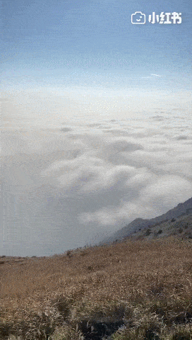 272_480 竖版 竖屏