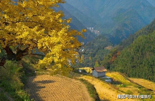 八都岕人口(2)