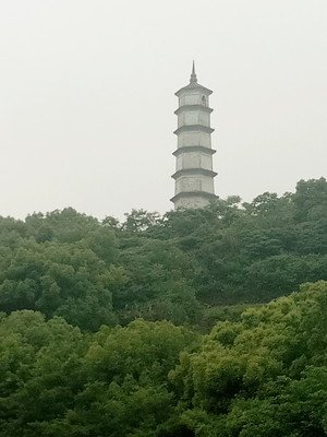 费县的总人口_费县李红尸检照片(3)
