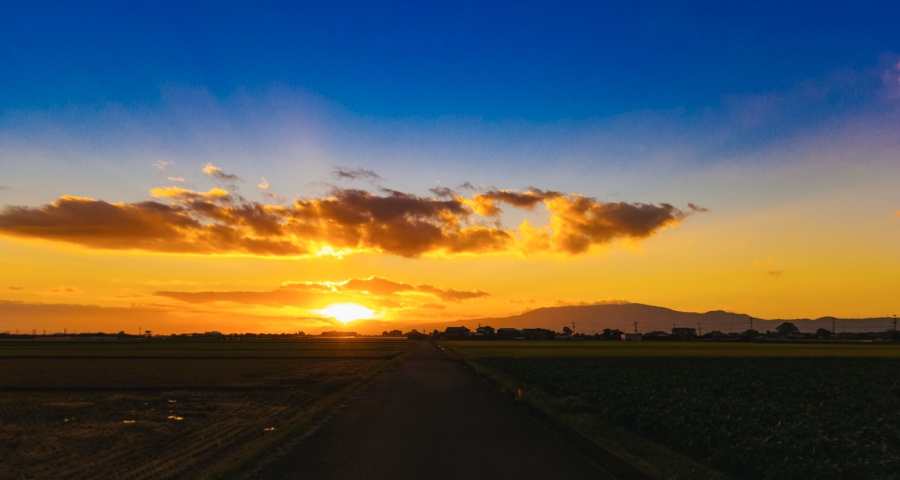 家电产业正开启一轮“新四化”之路-家电圈官网