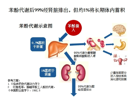 1f56d97fb97443d495fd955ae36f5d51.png