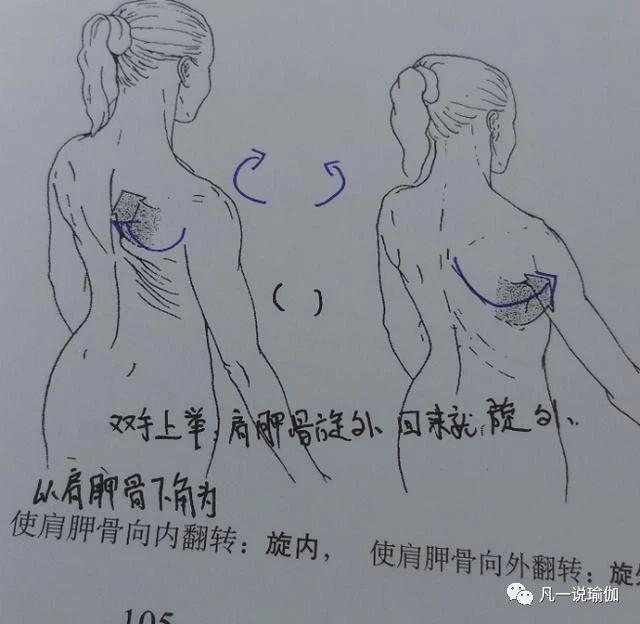 3fe45f67839e4a88a4ceb6c6a8c163ab.jpeg