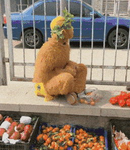 生活压力好大,猴哥都出来卖橘子了