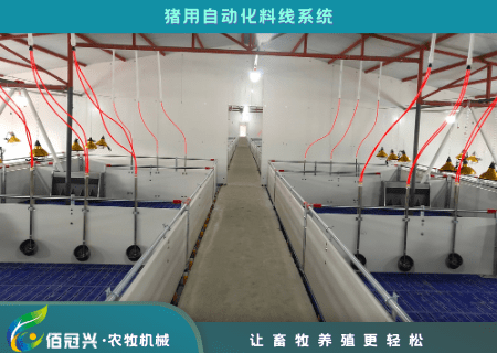 养猪自动化助你轻松饲喂5000头猪_设备