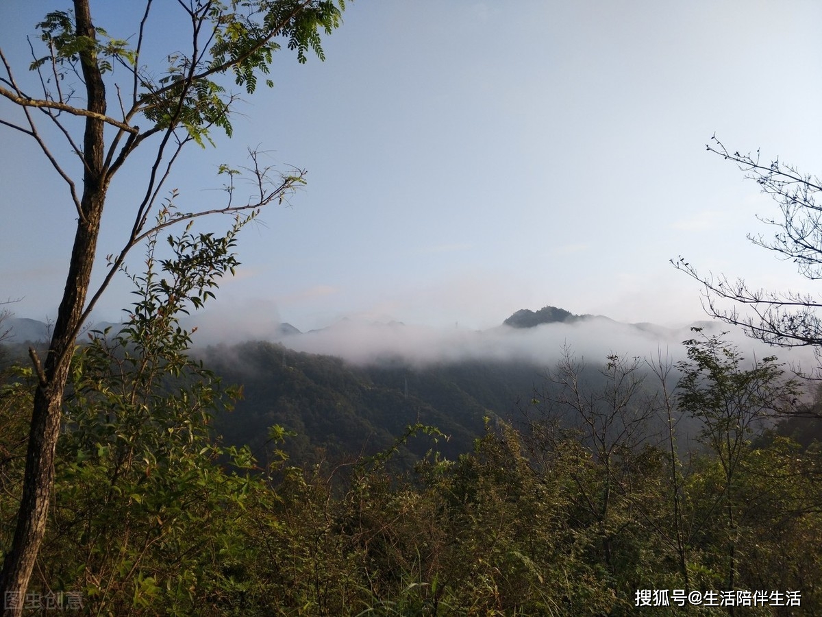 县城简谱_儿歌简谱