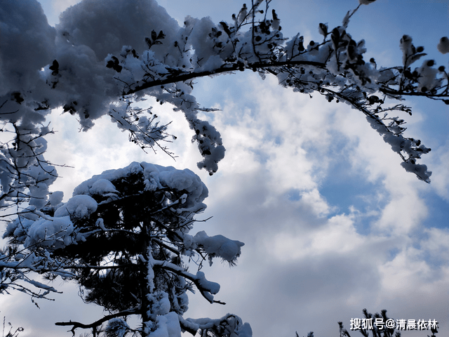 林什么雪什么成语