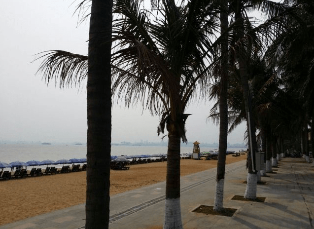 海南澄迈gdp2020年_海南澄迈老城规划图(2)