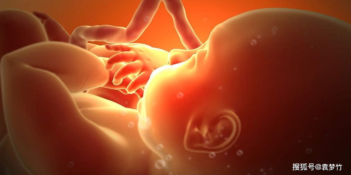 孕期梦境的奥秘，探索怀孕5个月时梦见她生子的深层含义
