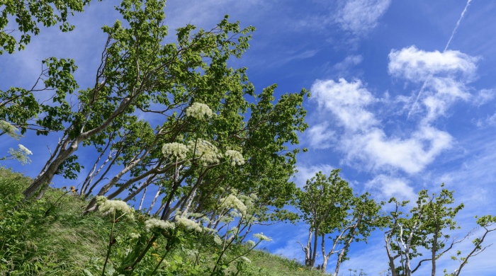 再不打击家电傍名牌行为,淘宝拼多多等电商也可能被“毁掉”!-家电圈官网