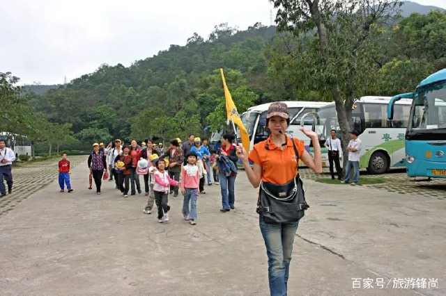 导游和“伴游”的差距在哪里？旅行社员工说出实情，挂羊头卖狗肉