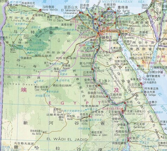 埃及国土面积和人口_埃及人口分布图(2)