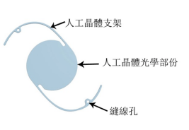 什么是正常人什么是不正常 908215c24a7a4e409c0e03d75cc79fcd.png