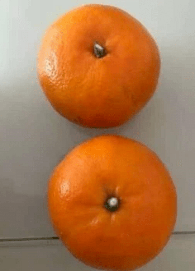 9e74728fffb64782824ab28c7b1d316f.png