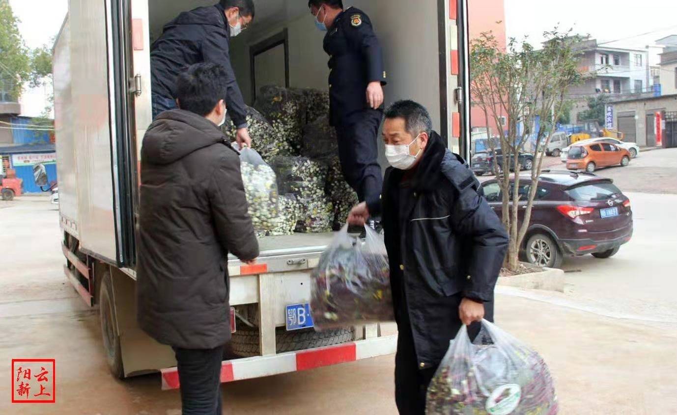 《中国纪录》直击——为这个来阳新种菜的老板