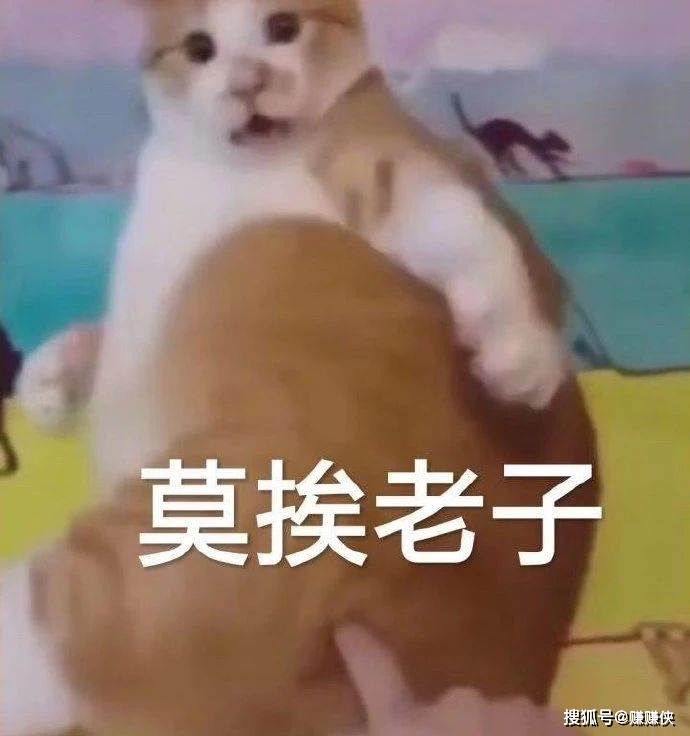 热门表情包图片:没错,你说的都对