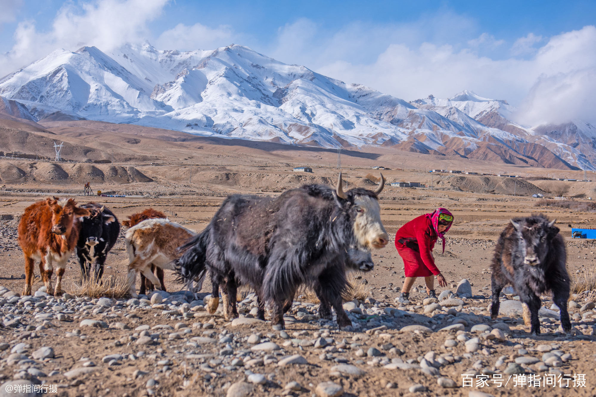 新疆帕米尔高原，世居着“高山之鹰”塔吉克人，她们个个颜值超高