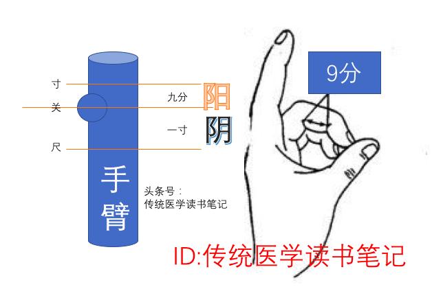 把脉到底是什么原理_幸福是什么图片