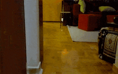 搞笑gif段子:趁她睡觉的时候,把她直接推到水盆里!