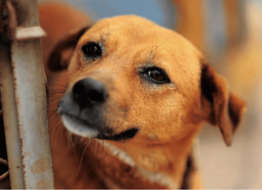 1a5be645f6944711afa08dffa2fbf813.png