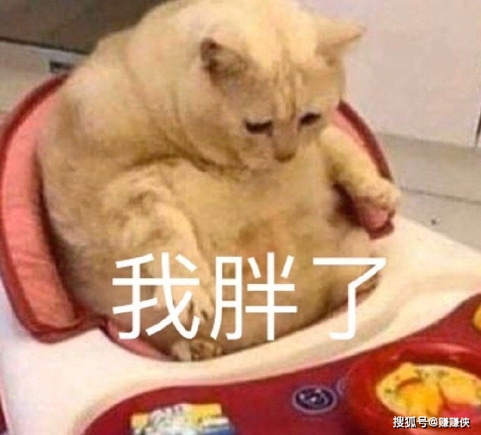 080a469d506b4c3f8bf94c265781b29b.jpeg