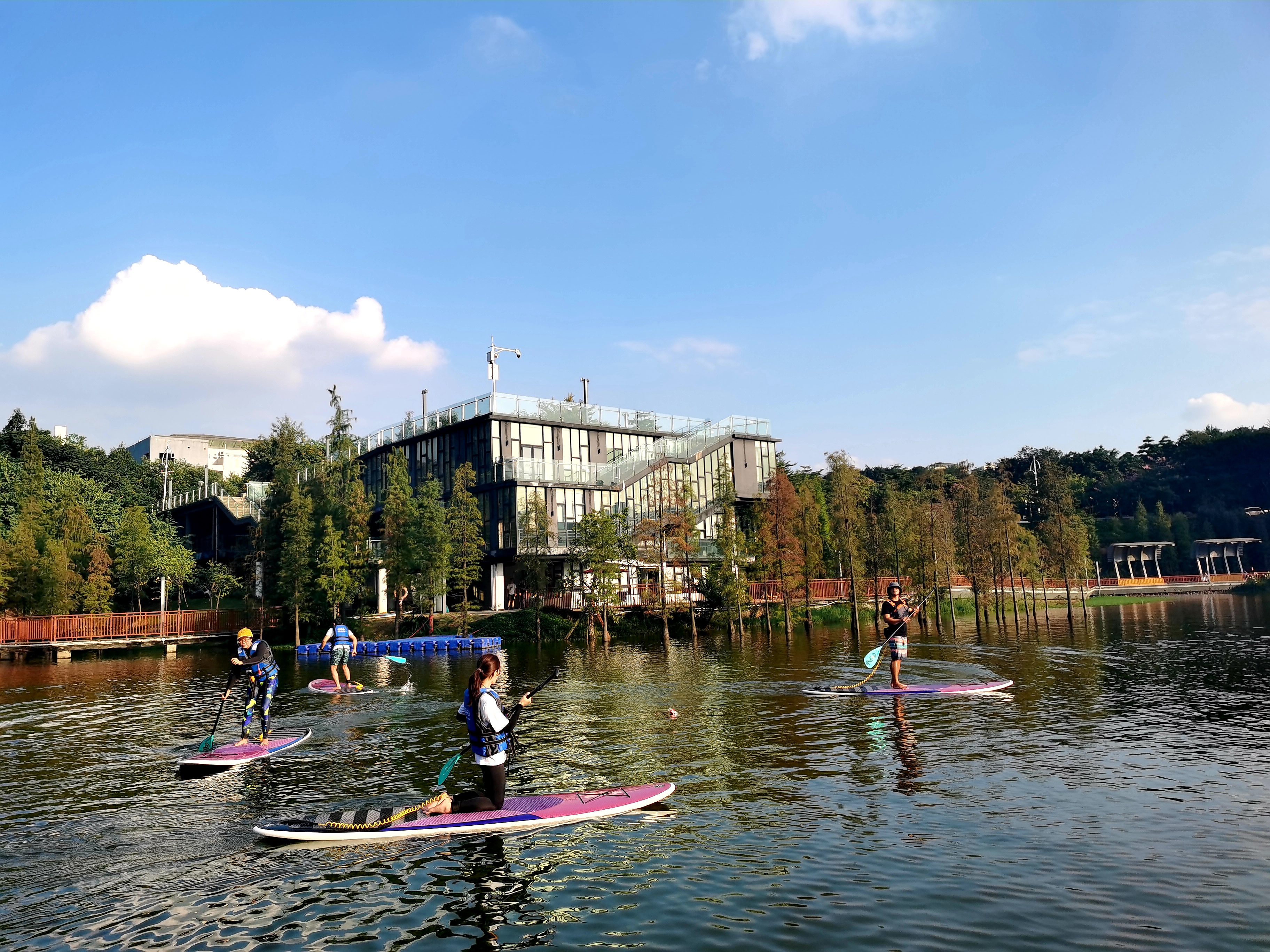 佛山南海狮山大学城,冬天湖畔被落羽松环抱,就像一首诗,一幅油画