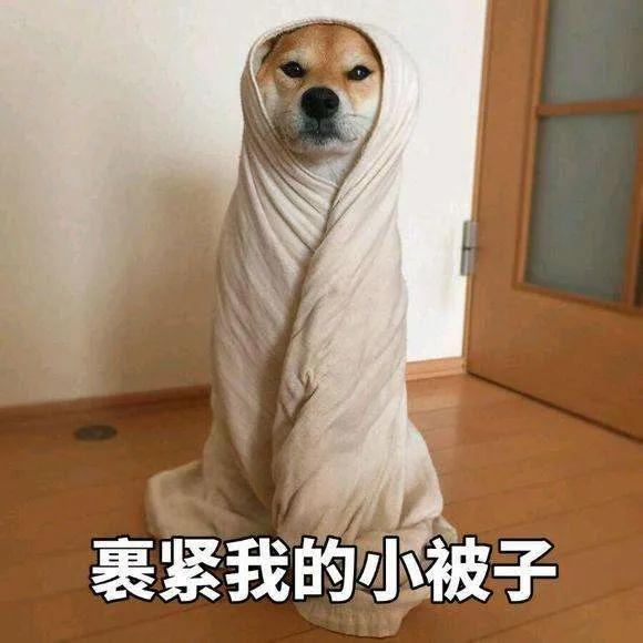 a3d14003aa1041cb9dc5ae2e21a77b0b.jpeg