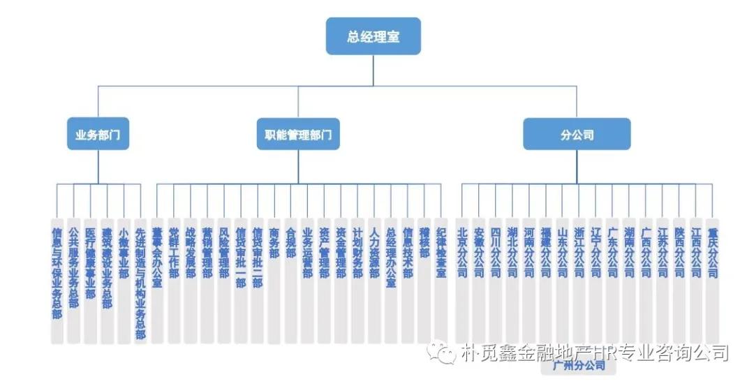 如何搭建公司架构 b463635ea5e04a4f94fd9bdd2a1866b9.jpeg