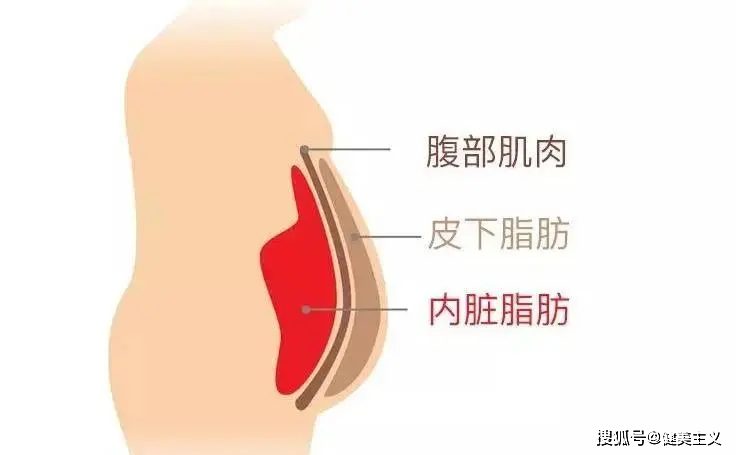 肚子最爱堆积脂肪久减不下？榨干腹部脂肪，这个有效方法太逆天了
