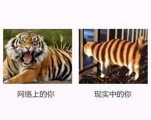 用户|打架打上纽约时报，苹果这次更新怎么把Facebook惹毛了？