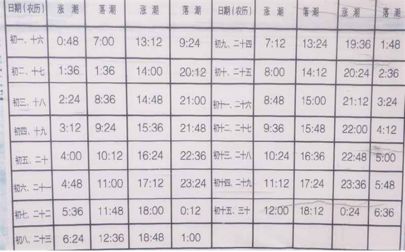 山东日照海边赶海攻略,孩子们喜欢但是要注意安全,看懂潮汐表