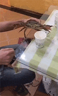 搞笑gif段子:气球:这个锅我不背,背不起,自己装的怨不得别人_小侄女