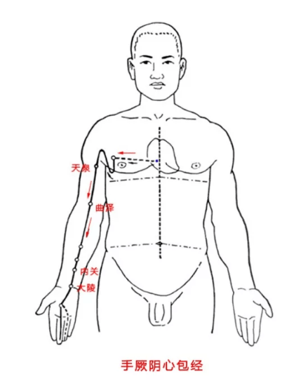 天太冷了,已经不便于背部刮痧了,我们就刮痧手臂上的: 心经 心包经