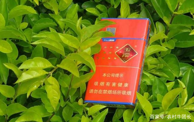 1998年云南省gdp_云南省2016年中考语文(3)