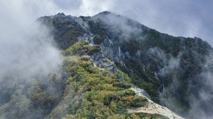 家电企业撬动年轻消费群体，95后和她消费才是新支点-家电圈官网