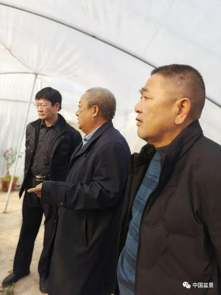 商丘盆景知名人士李文寅(右一,陈爱华(右二,乔明志(右三)在观摩学习