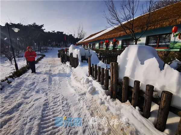 泉视界丨齐鲁雪乡跑马岭银装素裹好迷人