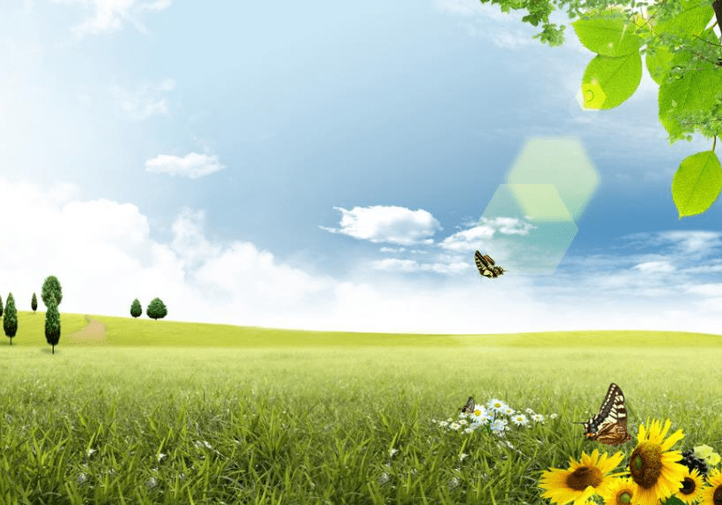 5cf544256f5b4b0fb3874a1d0fc3017a.png