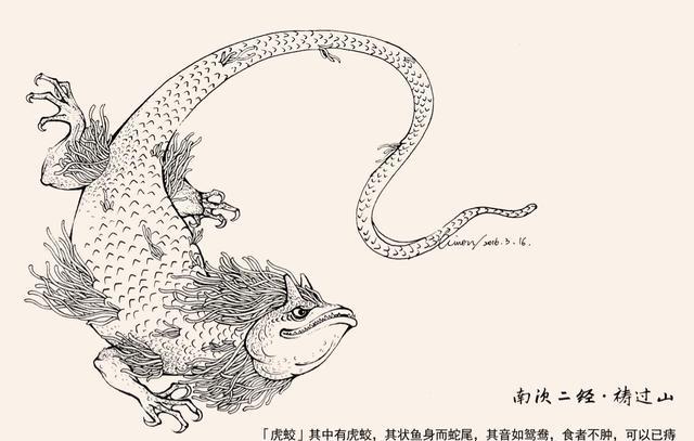 鳄鱼排行_有史以来被人类捕获的最大鳄鱼排行榜!