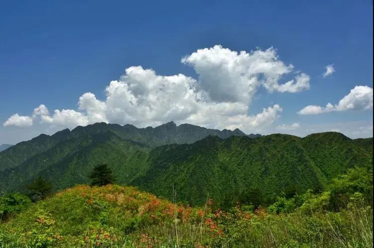 萍乡武功山景点推荐 来武功山肆意挥霍你的美