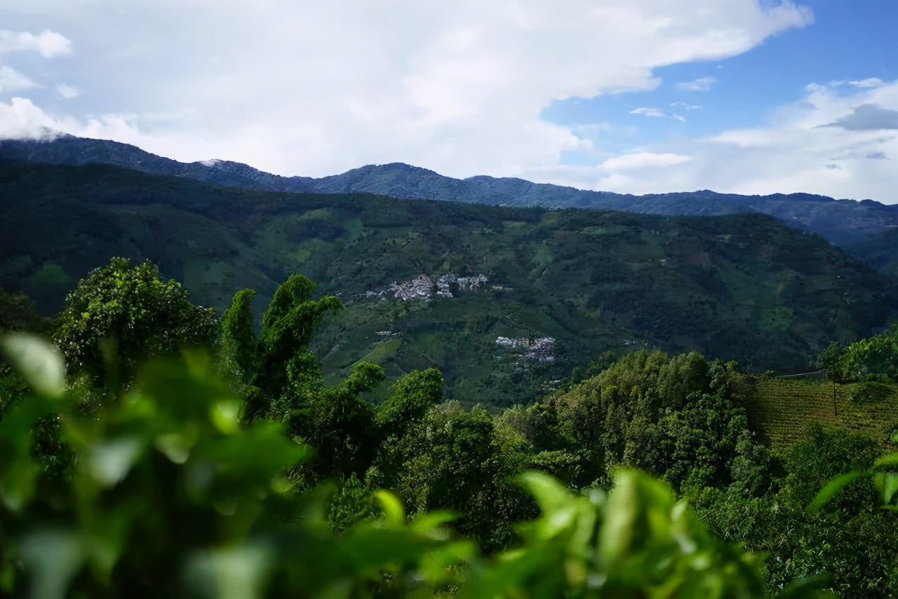 临沧最有名气的普洱茶山有哪些你可知道？
