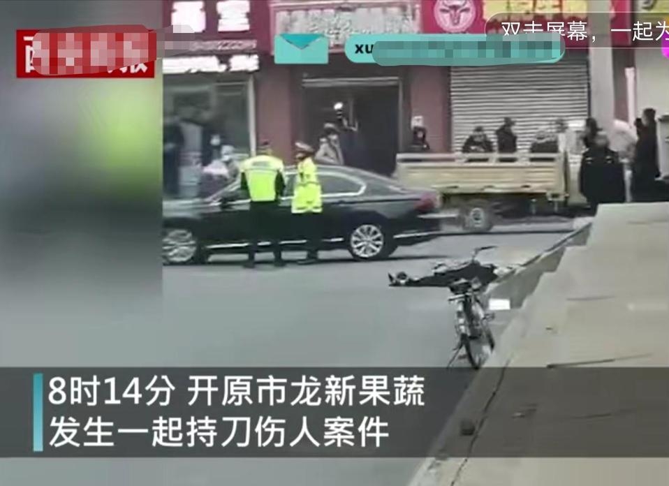 辽宁铁岭开原市犯罪嫌疑人杨某峰"有前科"持刀连续伤人,致7人死亡,7人