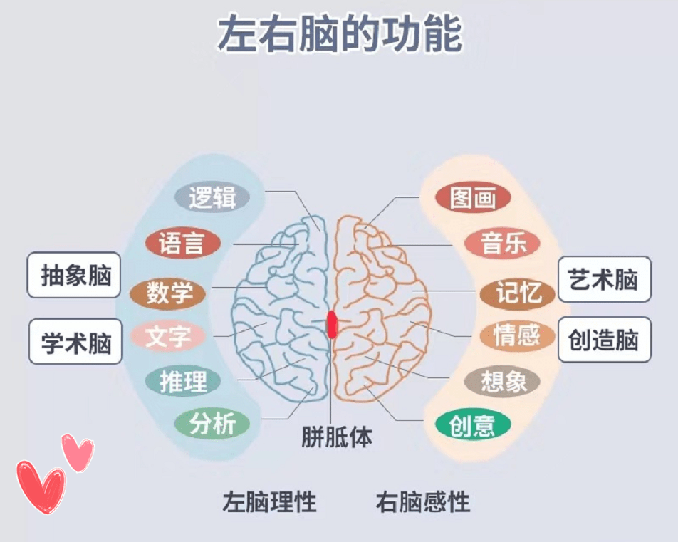 着好奇的心理,我们一家三口都做了小测试,结果儿子同样是"右脑型"人才