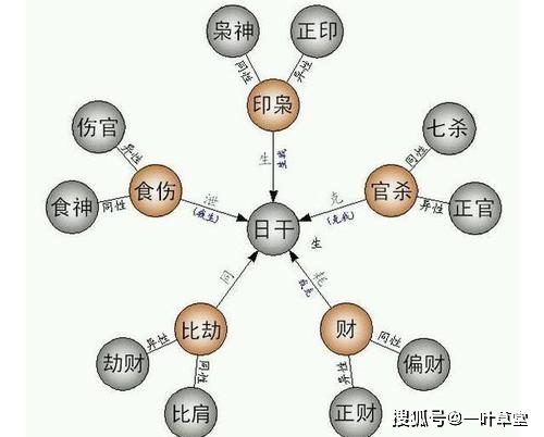 八字十神的关系与运用入门版