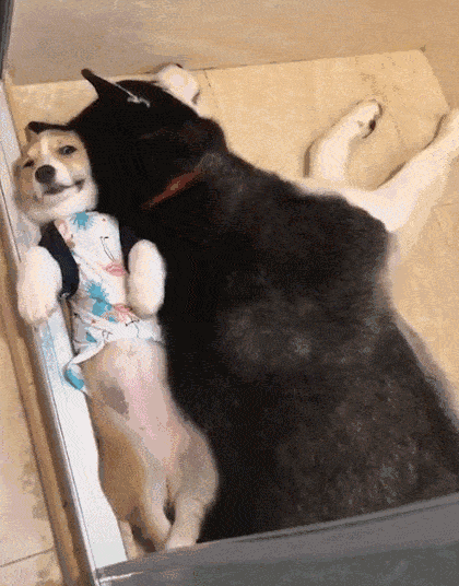 420_536 竖版 竖屏