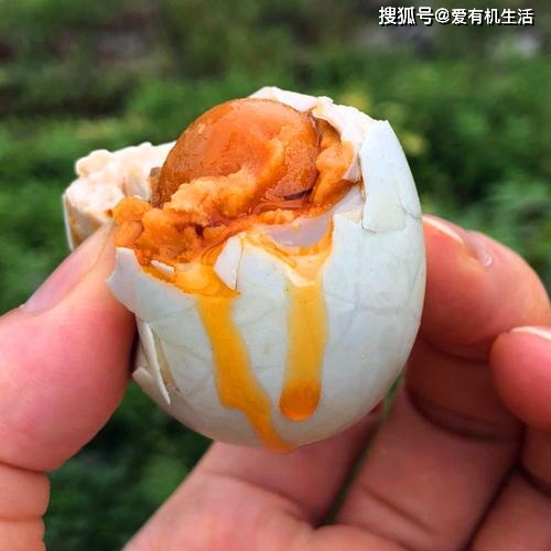 海鸭蛋是啥生的 db378dc6df95400f8819dfc7b41cf56c.jpeg