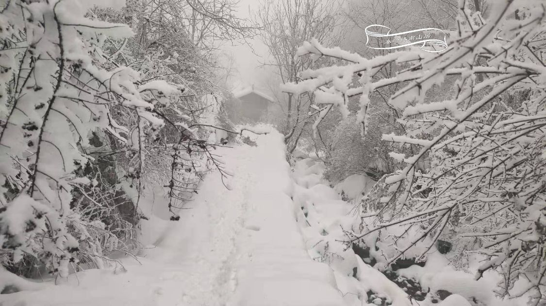 秦岭雪景最美峪口，山上有72座庙，被誉为铁武当，爬山赏雪遇到住在山洞的隐士