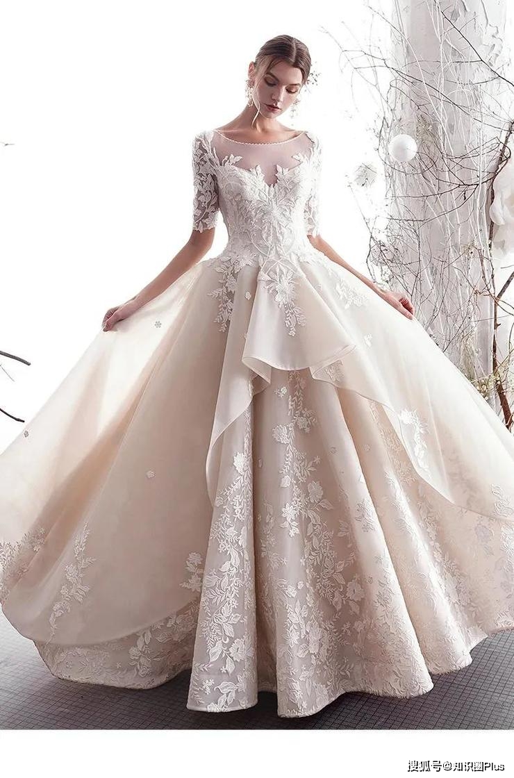 婚纱礼服知识_婚纱礼服(3)