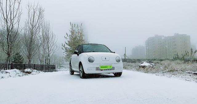 大雪在陆羽,但是欧拉黑猫控制还在线!